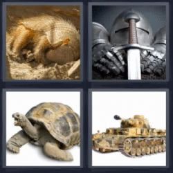 4 fotos 1 palabra armadillo tortuga