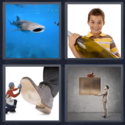 4 fotos 1 palabra tiburón ballena