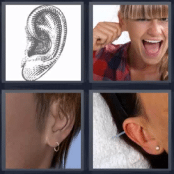4 fotos 1 palabra orejas