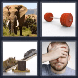 4 fotos 1 palabra elefante pesas