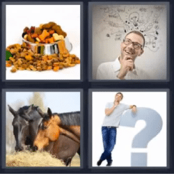 4 fotos 1 palabra comida de perro caballos