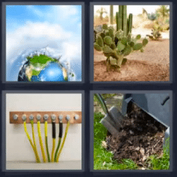 4 fotos 1 palabra planeta cactus