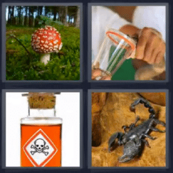 4 fotos 1 palabra escorpion