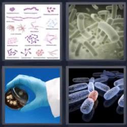 Soluciones-4-Fotos-1-palabra-bacteria
