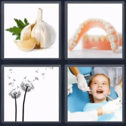 4 fotos 1 palabra ajo dentadura