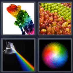 4 fotos 1 palabra iguana de colores