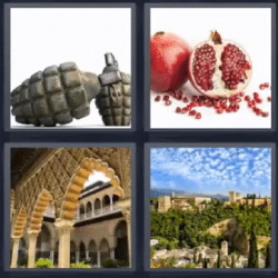 4 fotos 1 palabra fruta roja paisaje