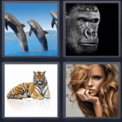 Soluciones-4-Fotos-1-palabra-mamifero
