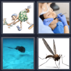 4 fotos 1 palabra mantarraya mosquito