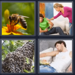 4 fotos 1 palabra abeja enjambre