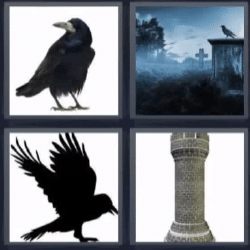 Soluciones-4-Fotos-1-palabra-cuervo