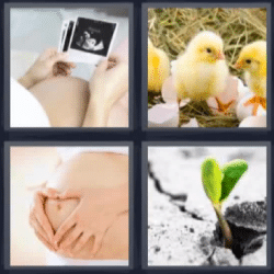 4 fotos 1 palabra embarazo