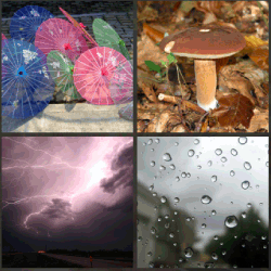 1 palabra 4 fotos paraguas