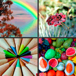 1 palabra 4 fotos arco iris lápices