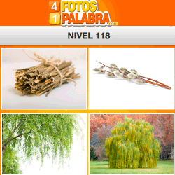 4-fotos-1-palabra-FB-nivel-118