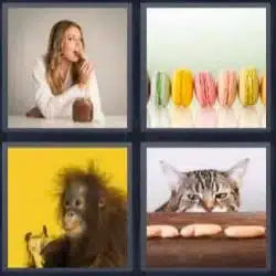 Respuesta 4 Fotos 1 Palabra Nivel 632
